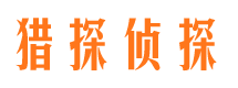 广东市场调查